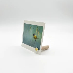 Kartenclip verschiedene Ausführungen